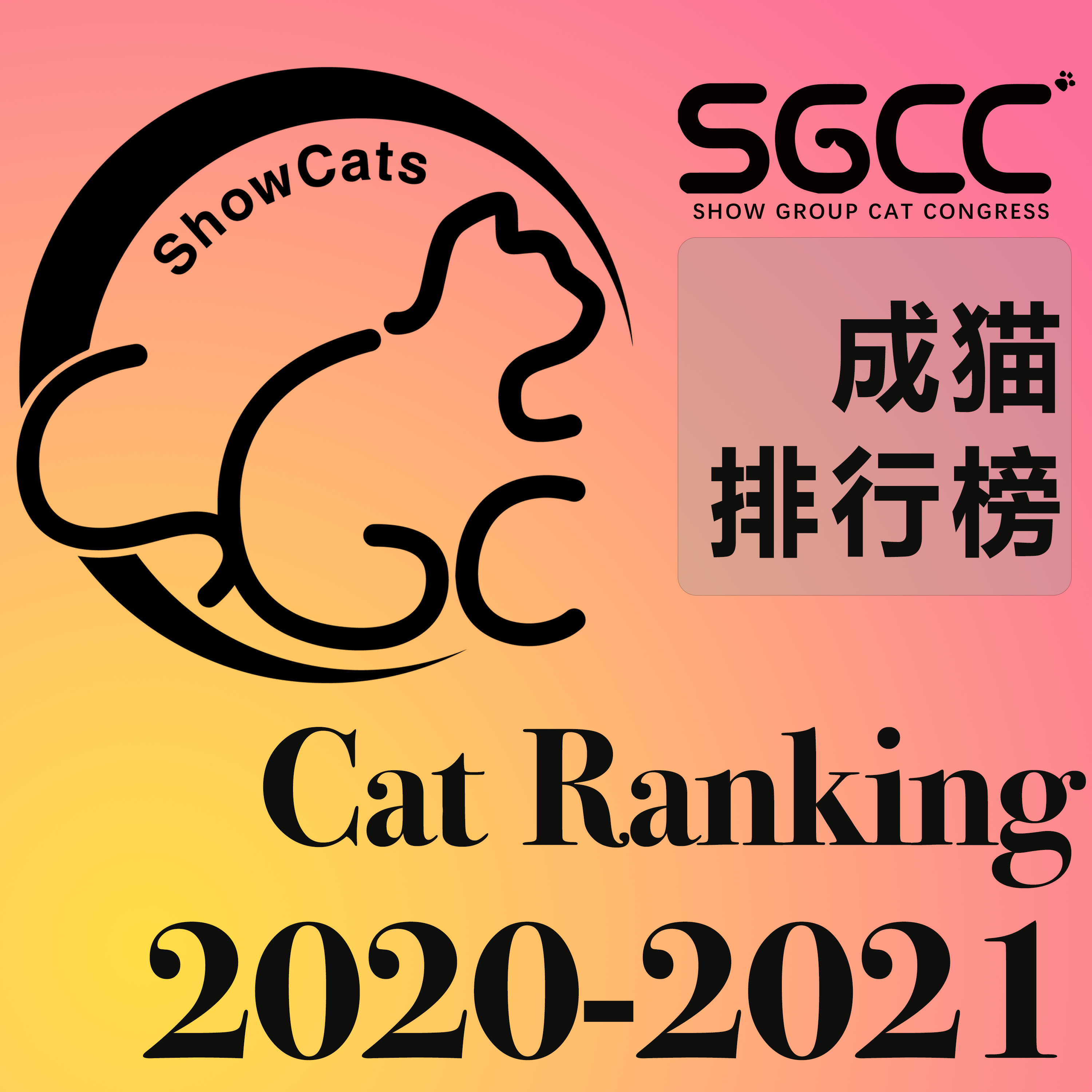 成猫/Adult Cat