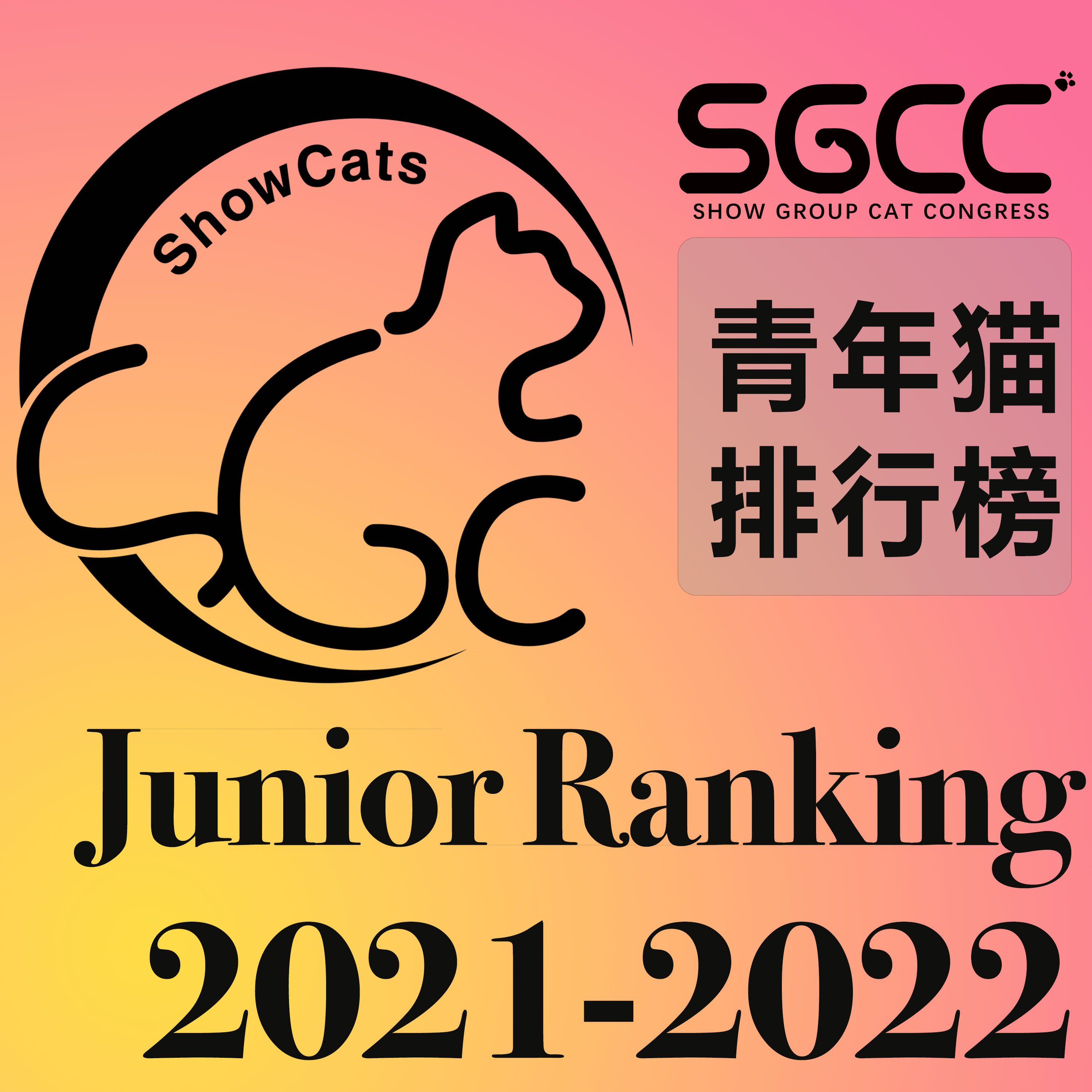 青年猫/Junior