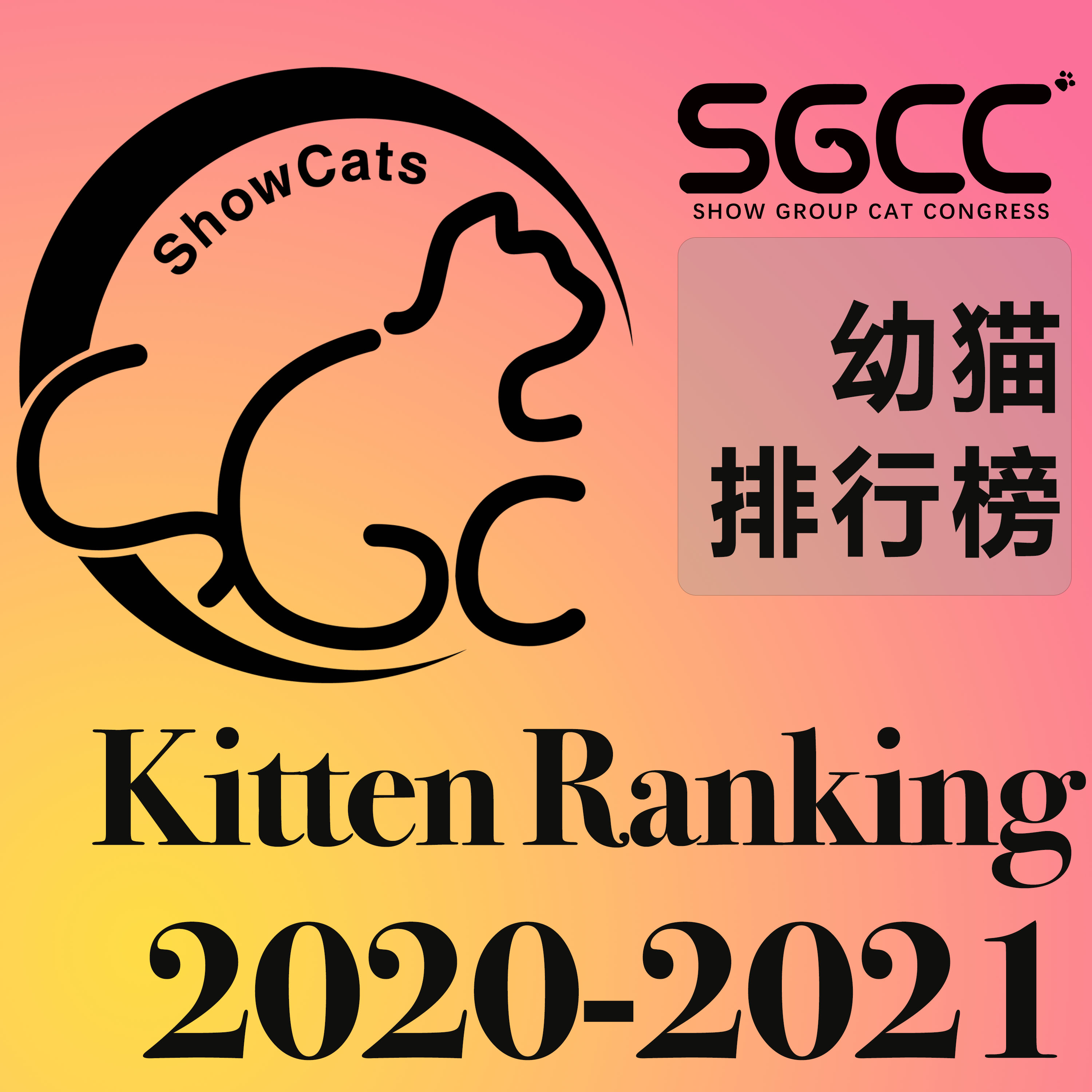 幼猫/Kitten
